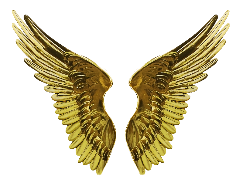 17 Filigree Angel Wings: Gold Leaf