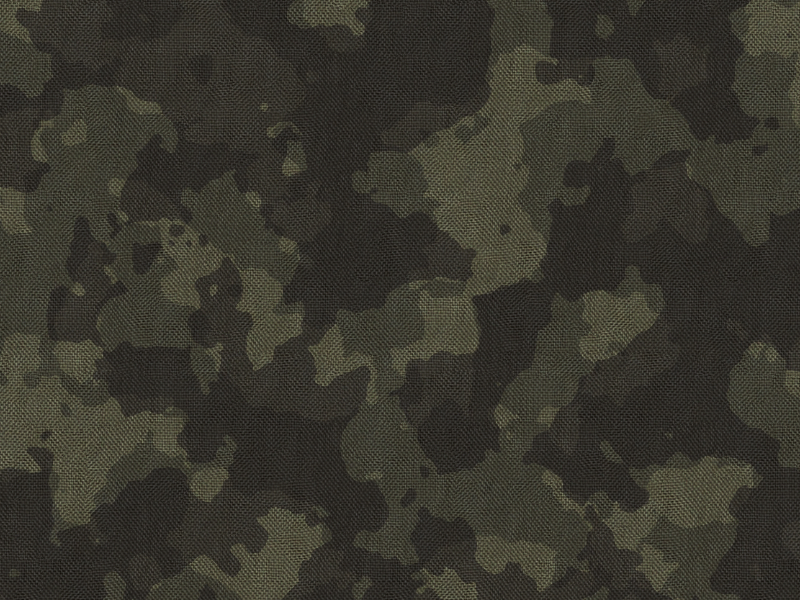 Army Military Texture With Camouflage Pattern Free (Fabric)