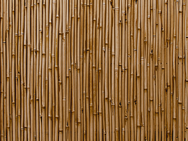 Wall Mural Bamboo wood texture 