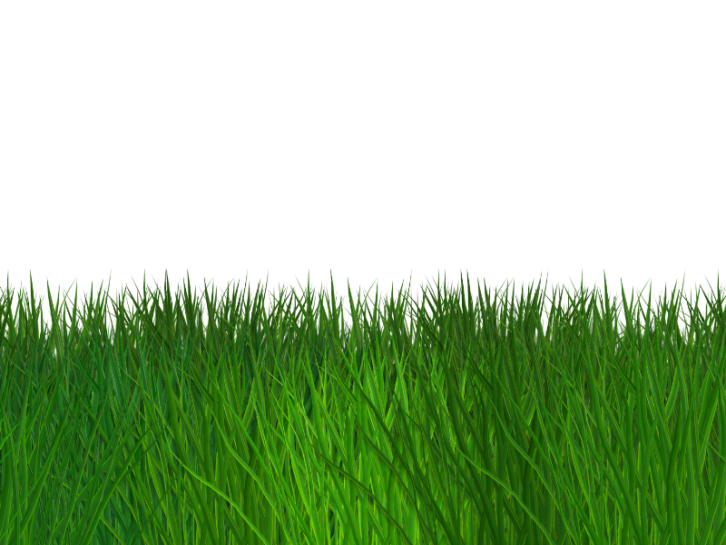 cartoon grass border