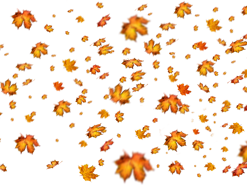 Leaf PNG Transparent Images - PNG All