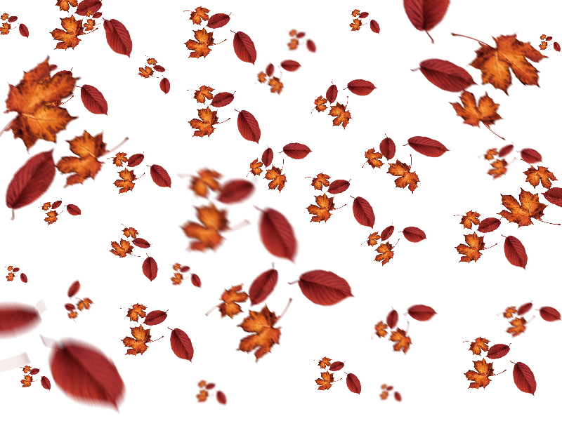 Falling Autumn Leaves Png 