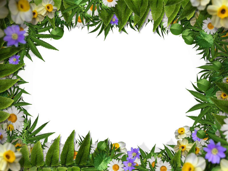 Flower Frame Border Png With Green Leaves Background Nature Grass And