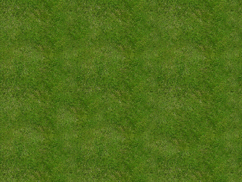 Free Seamless Grass Texture Nature Grass And Foliage Textures For Photoshop 