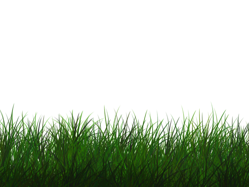 Free Transparent Grass Texture Seamless Png Nature Grass And Foliage