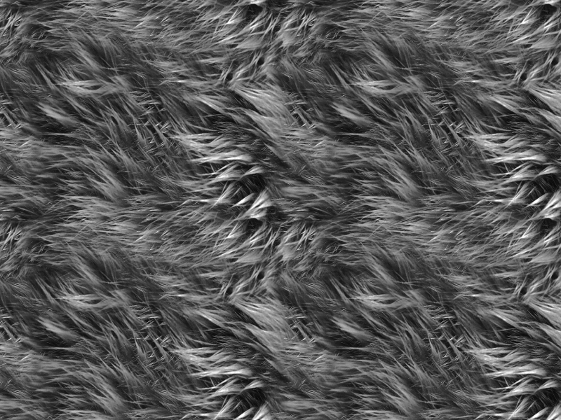 Grey Fur Texture Free