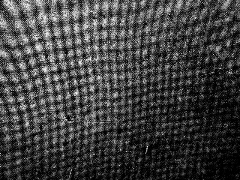 Monochromatic Digital Print Texture High Res