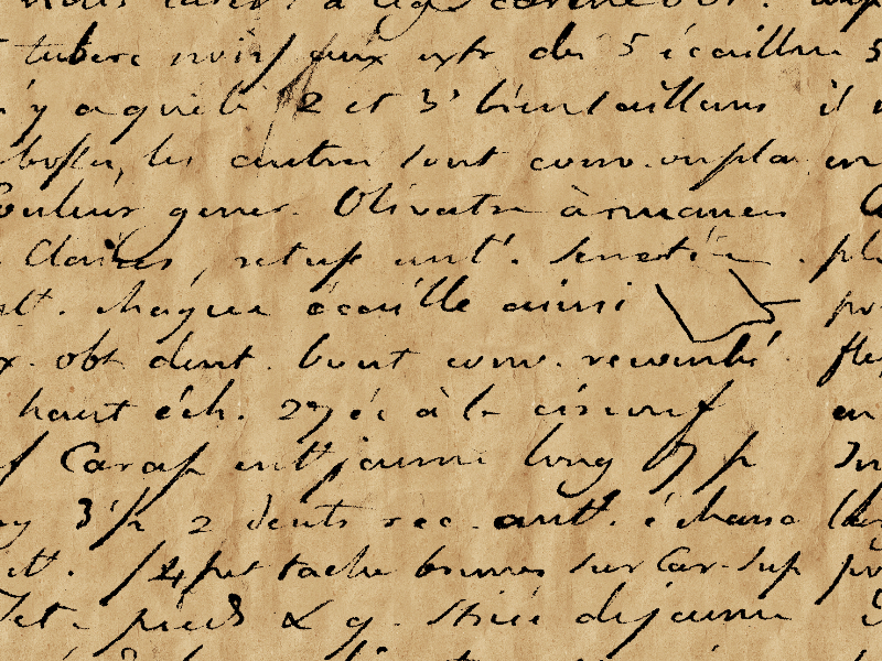 Old paper background 4k Old paper background 4k image