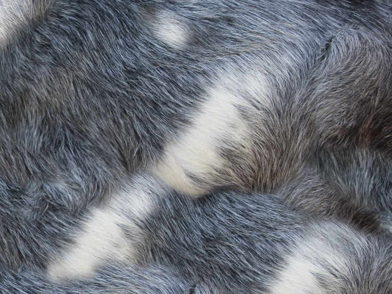 Rabbit Gray Faux Fur Texture Free