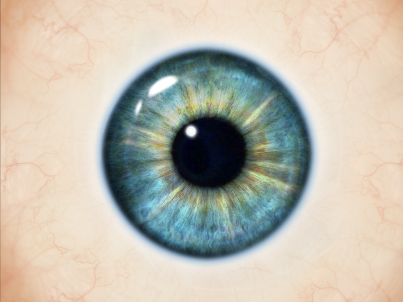 Download Eyes Anime Free Transparent Image HD HQ PNG Image