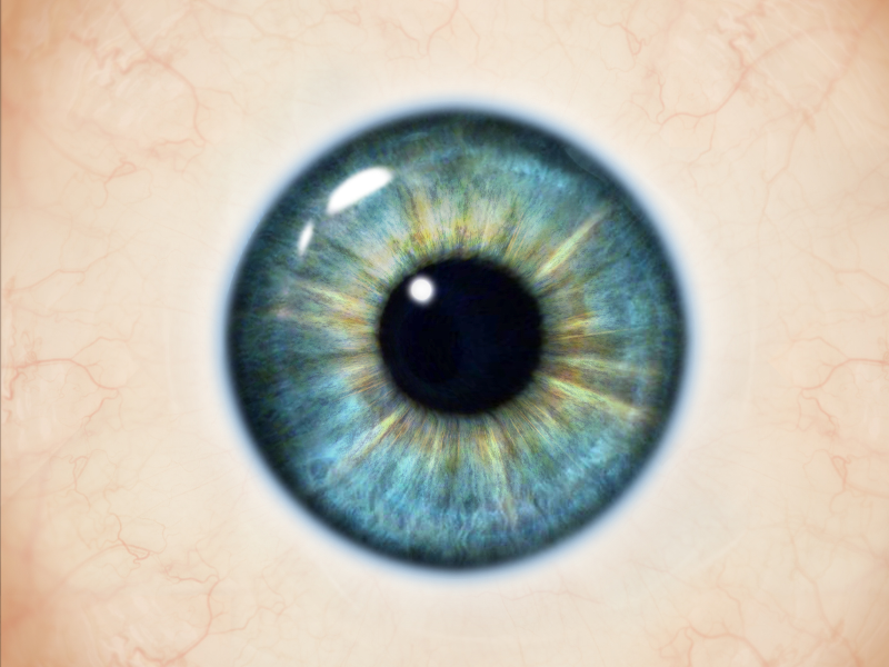 Realistic Human Eye Texture Free