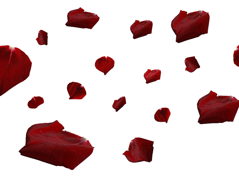 Red Rose Petals PNG