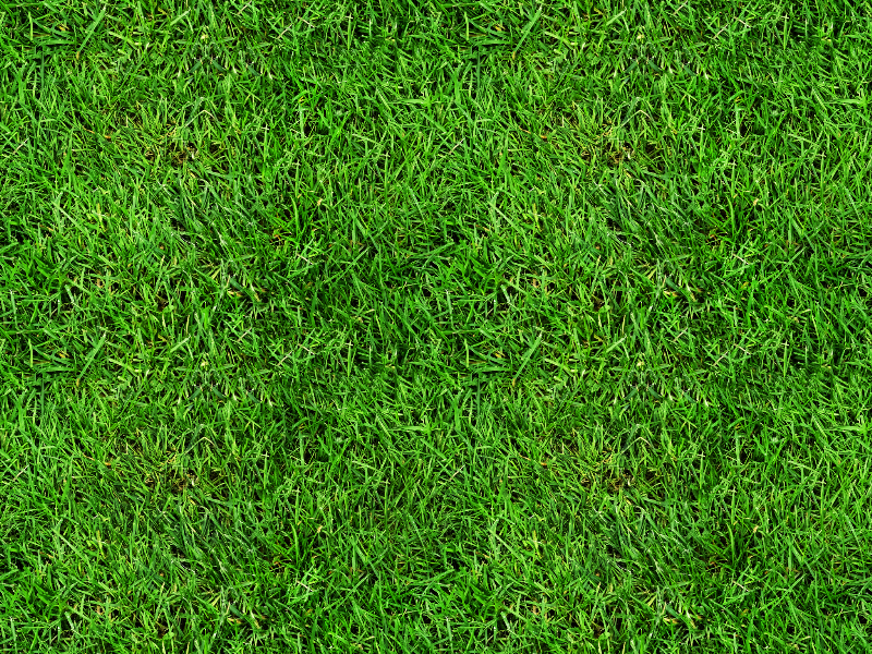 Seamless Grass Texture Free