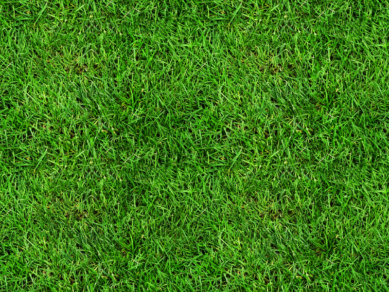 Seamless Grass Texture Free Nature Grass And Foliage Textures For