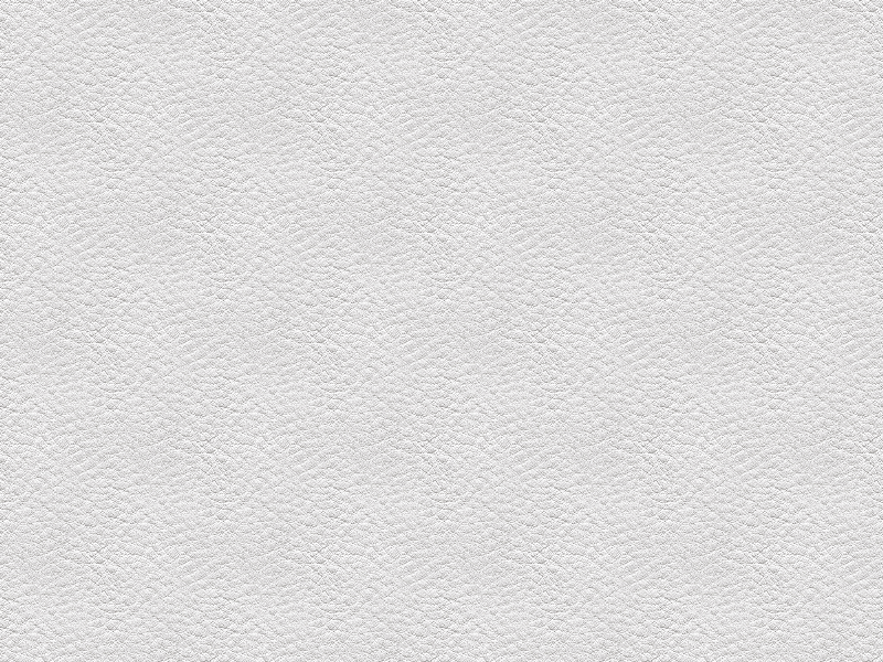 Seamless White Leather Texture Free