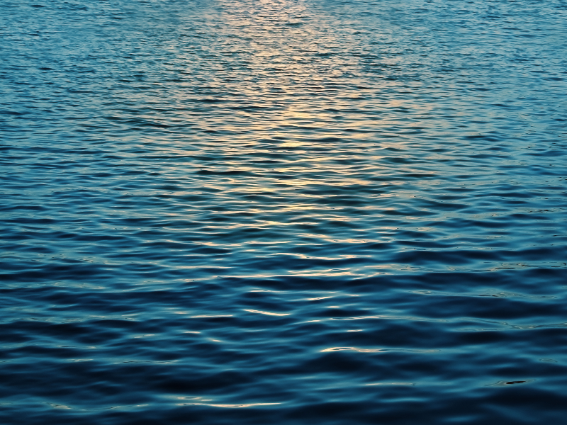 Water Surface With Sun Reflection Texture Free Water And Liquid