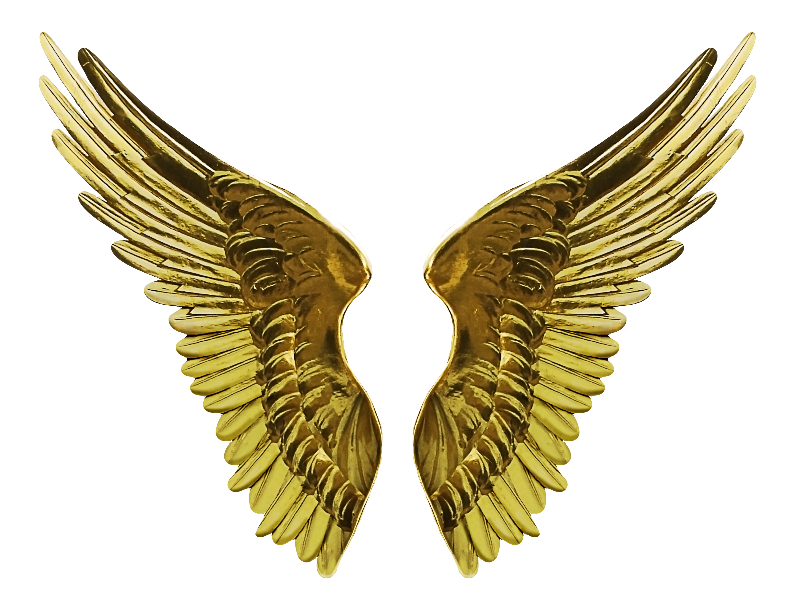 Angel Gold Wings PNG Cutout Image