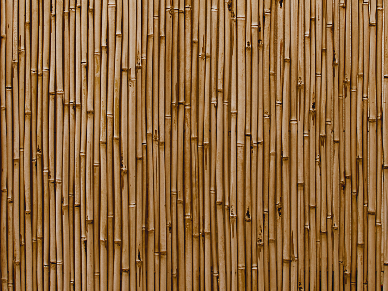 Bamboo Wall Texture High Res