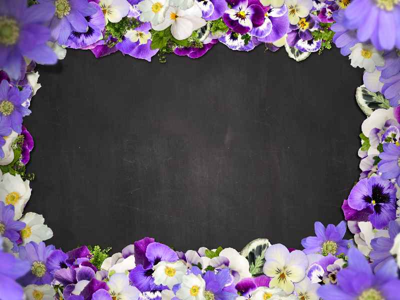 Beautiful Floral Border With Purple Flowers Free Background