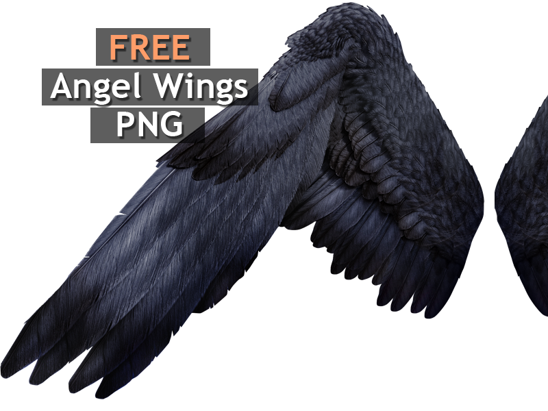 Black Angel Wings PNG Free Image