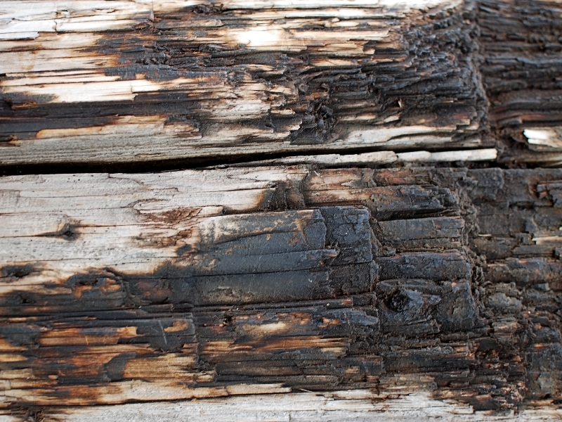 Burned Wood Texture High Res