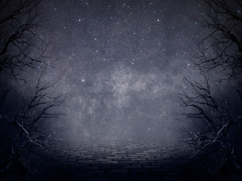 Creepy Night Forest Fantasy Background Free