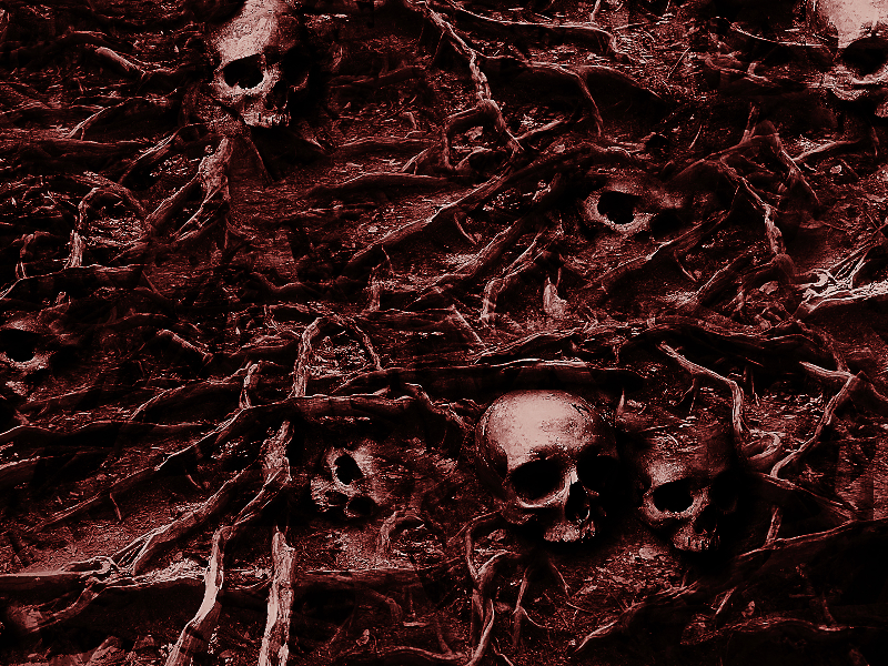 Creepy Skull Background Horror Texture