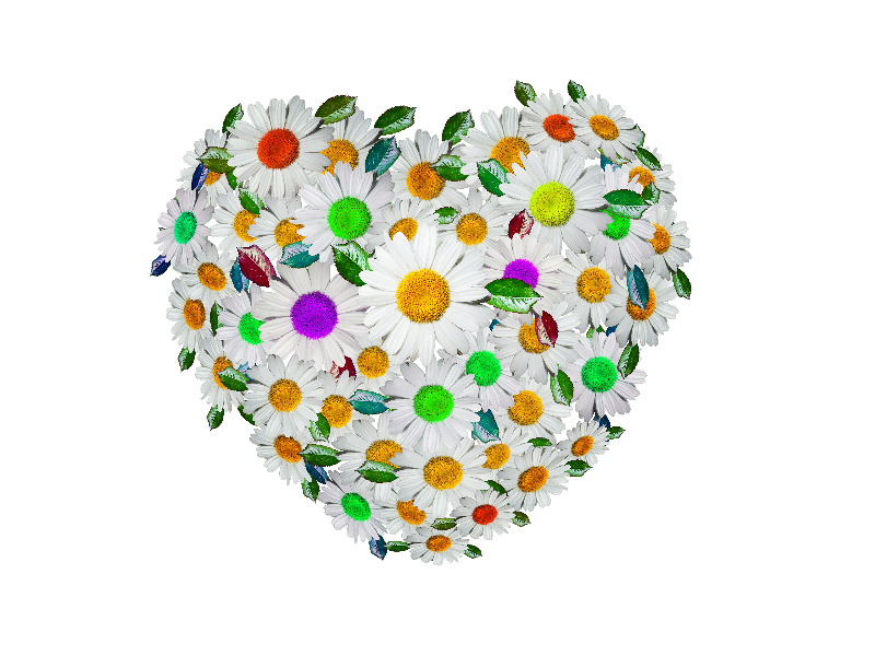 Cute Floral Heart PNG Image