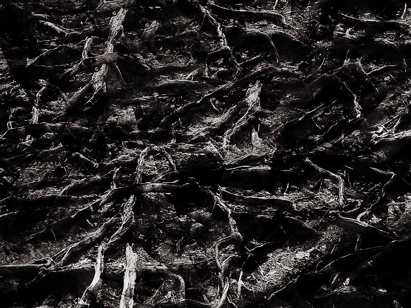 Dark Grunge Halloween Texture Background