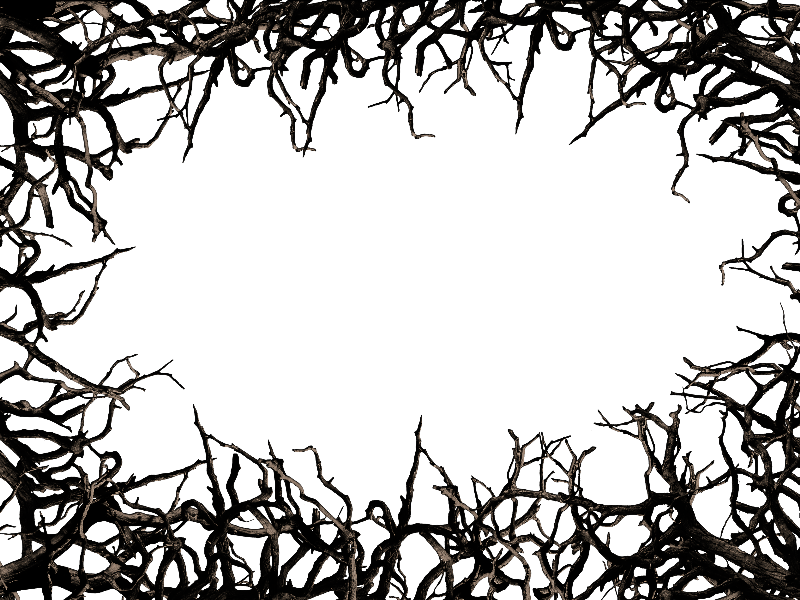 Dead Tree Branch Frame Border Png Clipart Free