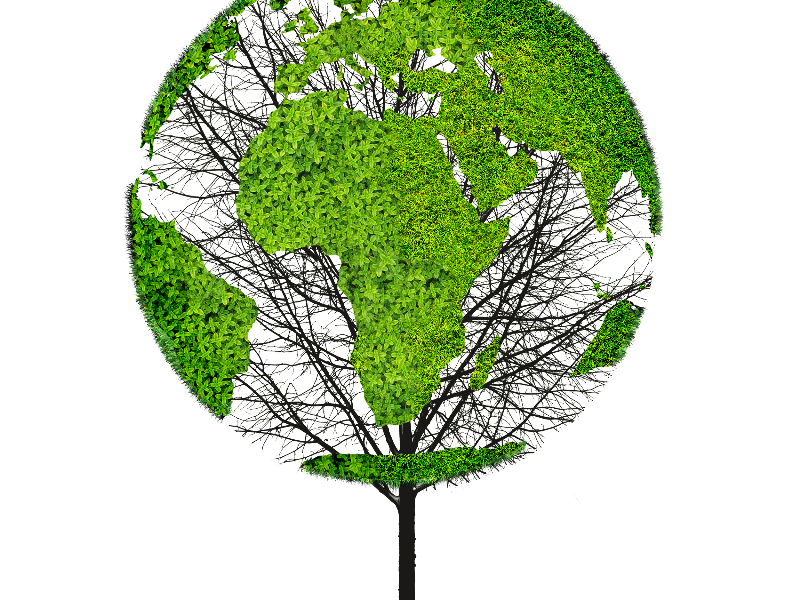 Earth World Map Green Tree PNG Object for Photoshop