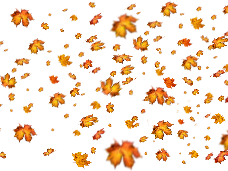 Fall Leaves Png Overlay For Photoshop