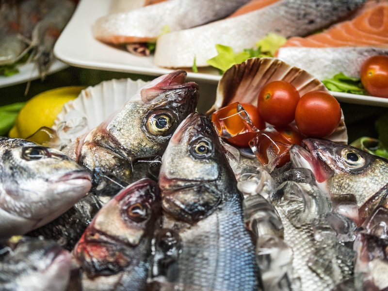 Fish Food Background Stock Photo