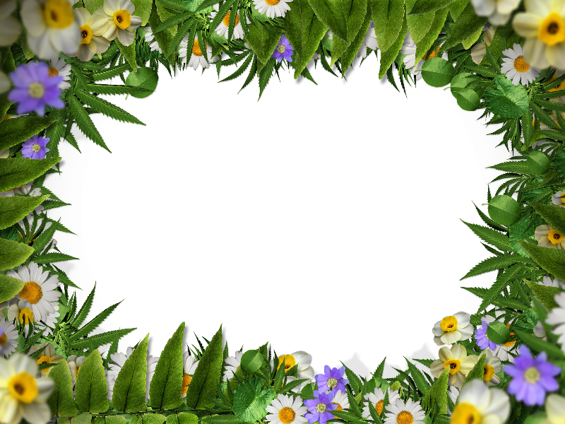 Flower Frame Border PNG With Green Leaves Background