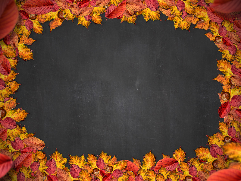 Free Autumn Leaf Frame with Chalkboard Background