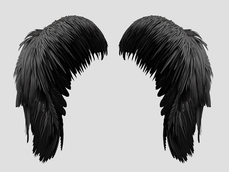 Free Black Wings PNG