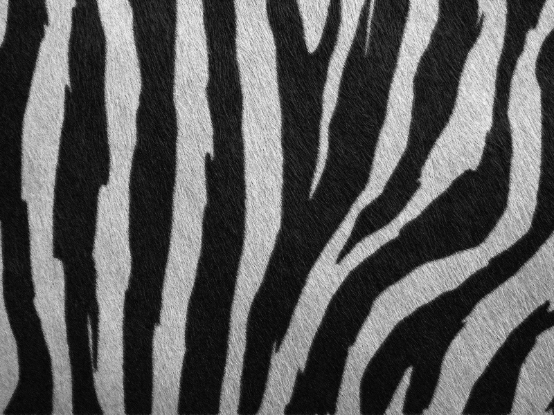 Free Fur Texture Zebra Skin