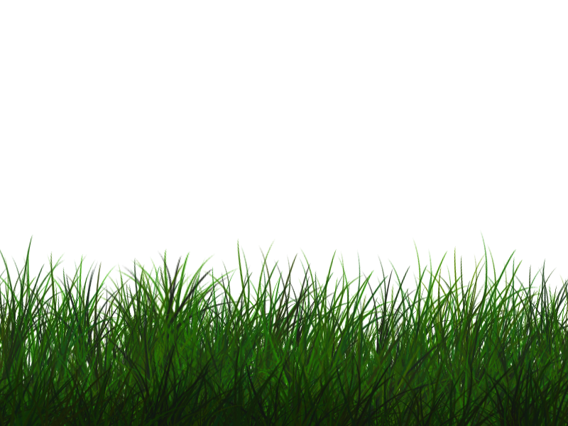 Free Transparent Grass Texture Seamless PNG
