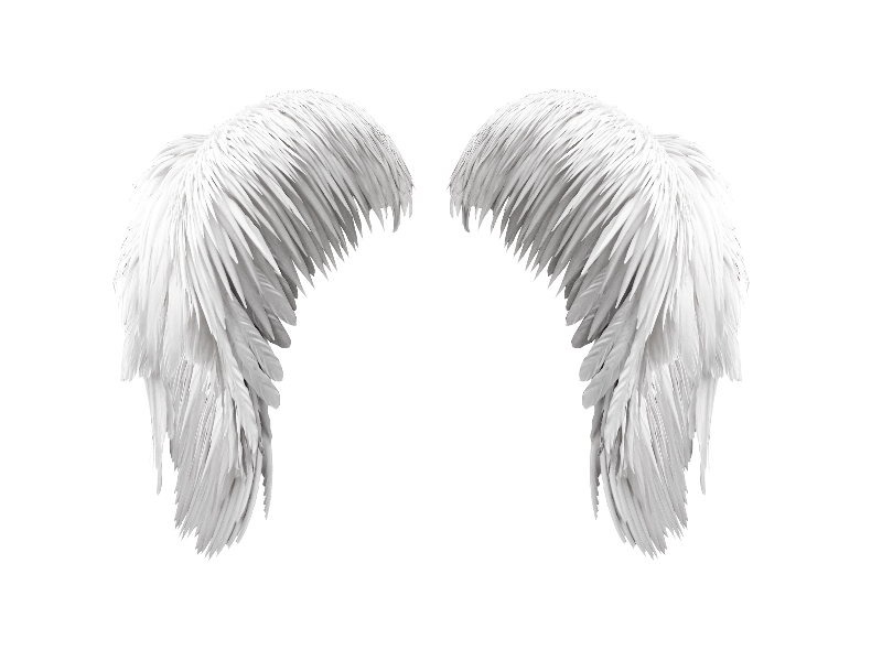 Free White Wings PNG