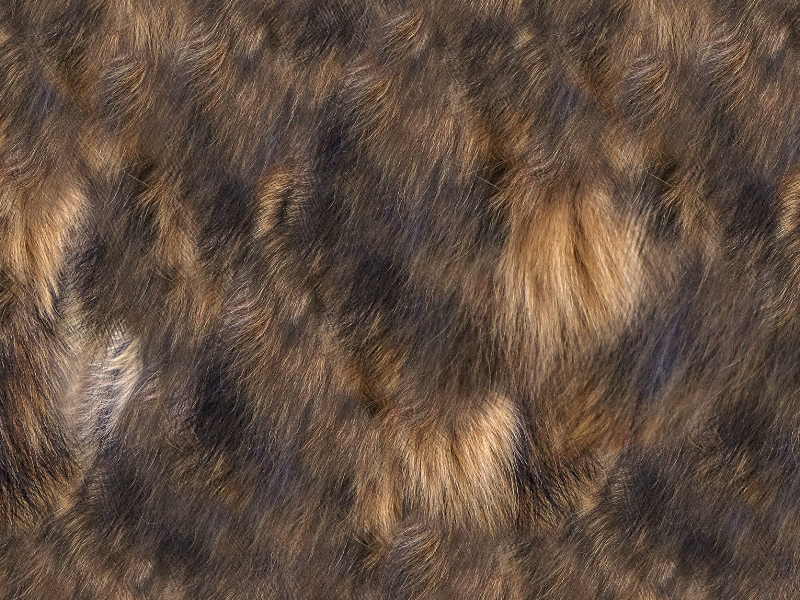 Fur Texture Seamless Free Download