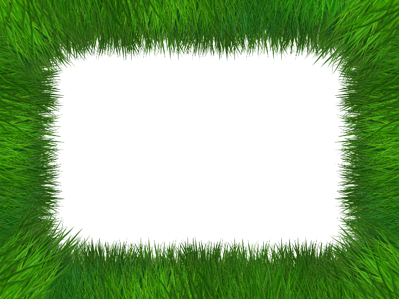 Grass Frame Isolated With Transparent Background Free