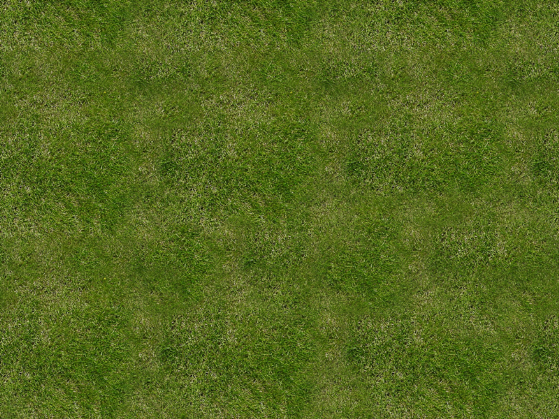 Grass Texture Seamless for Free
