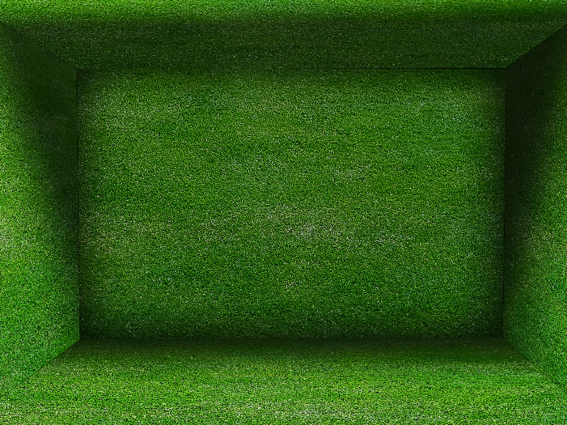 Grass Room Background Free