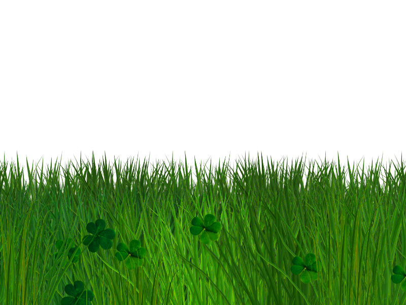 Green Grass and Clover Border with Transparent Background PNG