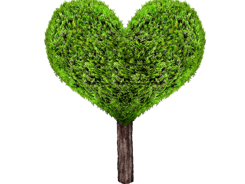 Green Heart Tree PNG