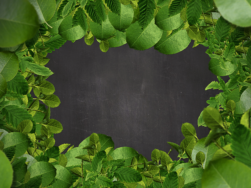 Green Leaf Border Background Free