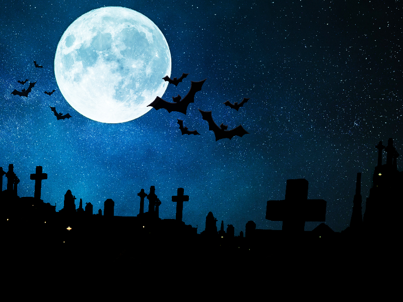 Halloween Night Background Free