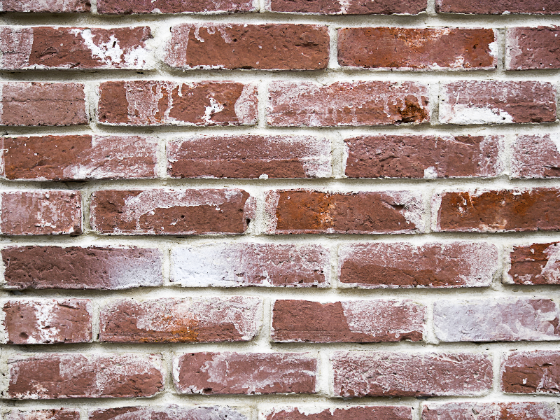 High Resolution Bricks Texture