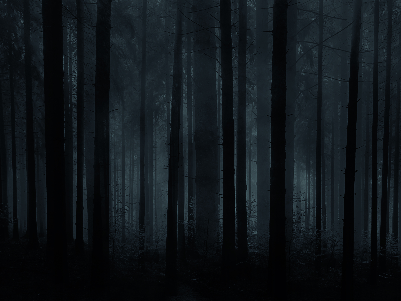 Horror Forest Background For Photoshop
