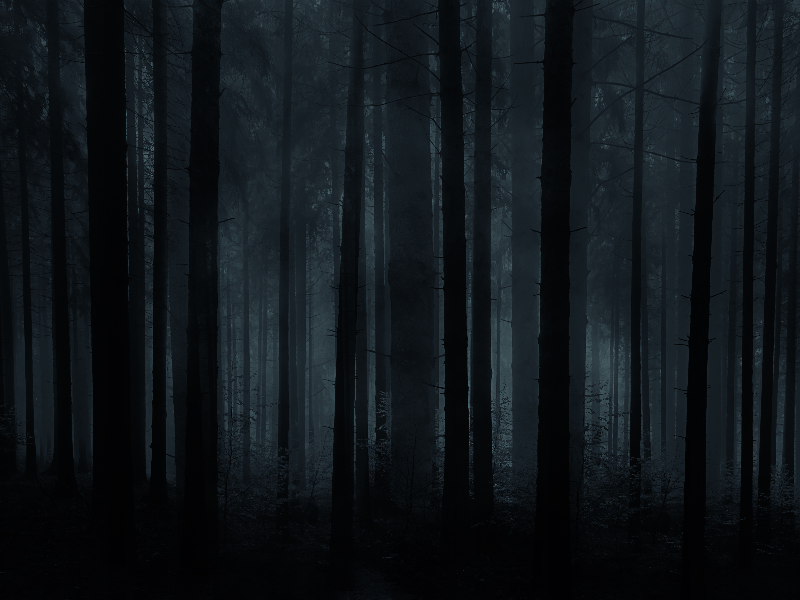 Horror Forest Background For Photoshop (Nature-Grass-And-Foliage) |  Textures for Photoshop